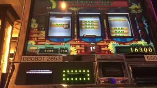 Big win on road to emerald city slot machine