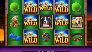 PAWPALOOZA Video Slot Casino Game with a PAWPALOOZA FREE SPIN BONUS
