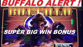 •BUFFALO ALERT ! SUPER BIG WIN BONUS •Buffalo Legends slot machine •$2.00 Bet