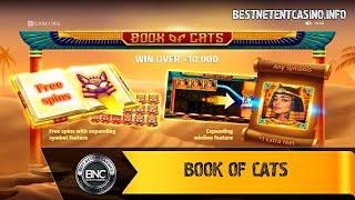 Book Of Cats slot by BGAMING