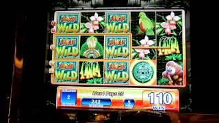 Jungle Wild Slot Bonus