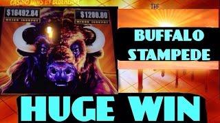 BUFFALO STAMPEDE slot machine HUGE BONUS WIN!