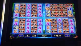 The Cheshire Cat - Bonus - $2.40 Bet. First time playing this game.