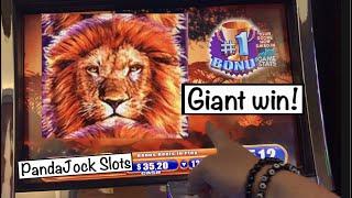 I got the #1 Bonus Award!!! Giant win on King of Africa ⋆ Slots ⋆