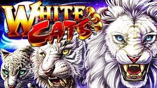 White Cats Slot - RETRIGGER BONUS, VERY NICE!
