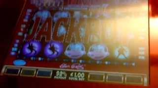 Barcrest Elvis Top 20 £500 Jackpot 5 Pink Cadillacs Fruit Machine Video Slot