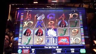 Arctic Fox Bonus Win at Sands Casino