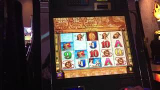 Live play on Sirena's Gold slot machine Max bet with BONUS FREE GAMES
