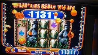 Gorillas in the Mist Part 3 of 3 - Queen of the Wild Slot Machine BIG WIN