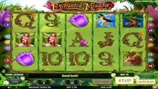 Free Enchanted Meadow Slot by Play n Go Video Preview | HEX
