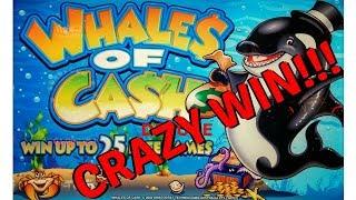 Whales Of Cash Deluxe