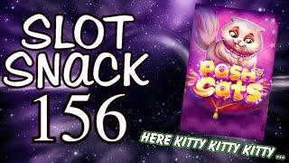 Slot Hits 156: Posh Cats