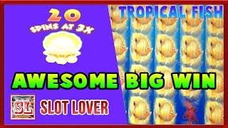 ** Awesome BIG WIN ** New Game ** Tropical Fish n others ** SLOT LOVER **
