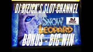 ~ 20 FREE SPINS!! ~ BIG WIN ~ Snow Leopard Slot ~ HAND PAY???? • DJ BIZICK'S SLOT CHANNEL