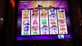 Aristocrat Buffalo Slot Machine Win @ Parx Casino