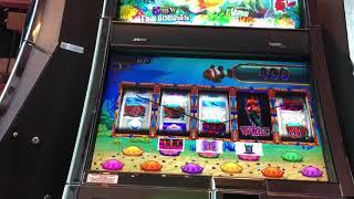 Goldfish 2 Slot Machine - Red Fish Bonus BIG WIN!