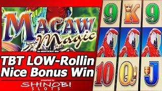 Macaw Magic Slot - TBT "LOW"-Rolling, Nice Free Spins Bonus Win with Re-Trigger