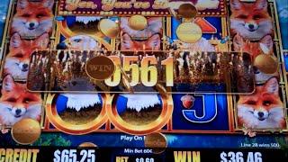 Birds of Pay Slot Machine Bonus + BIG Line Hit - 8 Free Games Win with Extra Bonus Wilds