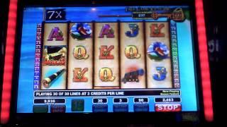Progressive slot bonus Jackpot on Captain's Key at Parx Casino