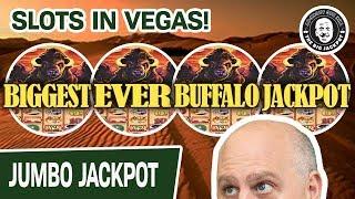 • My Biggest. EVER. Buffalo. Jackpot. • @ Cosmo Las Vegas