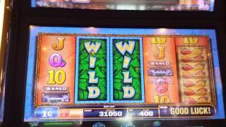 Easy Cash EDDY! Slot Machine Max Bet Free Spins.