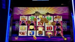 BIG WIN !!!! Buffalo Slot Machine 8$ MAX BET