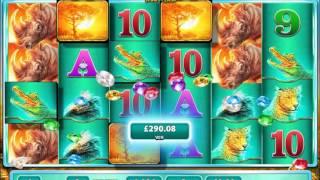 Lucky Raging Rhino Win From Just 8 Free Spins