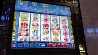 Aristocrat Butterfly Kisses slot machine Free Spin bonus