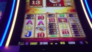 Another great win on buffalo gold slot