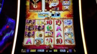 Buffalo Gold Max Bet Bonus Round 3 Times Bonus MAX  BET Las Vegas  Casino