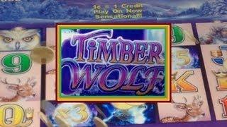 BIG WIN! Timber Wolf Slot Machine Bonus!  ~ Aristocrat (Timberwolf)