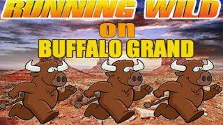 MAJOR Progressive on Buffalo Grand •It's  Buffalo week  •