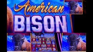 Wild Panda and American Bison slot bonuses at San Manuel casino.