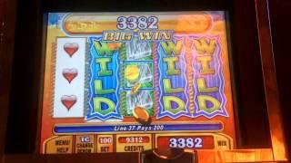 Whipping Wild Slot Line Hit - WMS