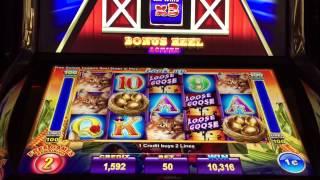 Ainsworth Loose Goose Slot Machine Bonus Spins BIG WIN!