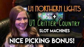 Northern Lights and Critter Country! Slot Machines! FIRST SPIN BONUS!!