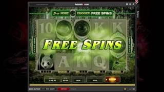 casino classic games    -  Untamed Giant Panda  -  microgaming loyalty points