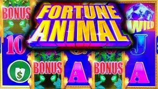 Fortune Animal slot machine, bonus
