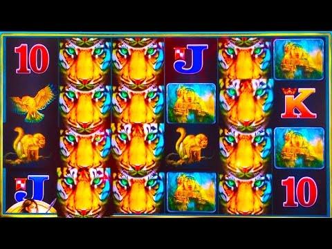 ++NEW Jungle Warrior slot machine, DBG