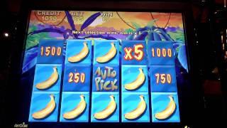 The Banana King Bonus Win on Slot Machine at Sands Casino