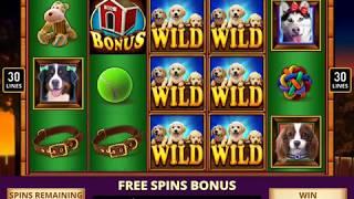 PAWPALOOZA Video Slot Casino Game with a FREE SPIN BONUS