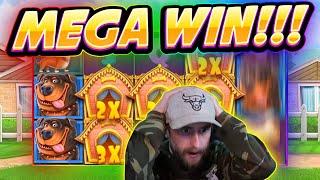 MEGA WIN!! Dog House BIG WIN - Casino Games from Casinodaddy live stream