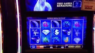 Bally Majestic Stag slot machine Free spin bonus games - GV Ranch