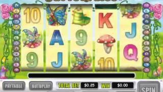 Butterflies Slot Machine At Intertops Casino