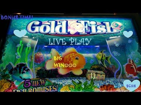*GOOD WIN* Goldfish 2(Mermaid) | LIVE PLAY + Slot Machine Bonus