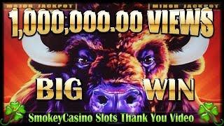BUFFALO Stampede Slot Machine BIG WIN ~ 1 Million Views Thanks Video!!