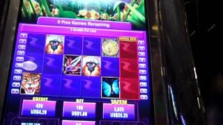 Slot Bonus