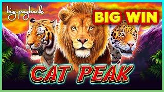 Cat Peak Slot - WELL THAT WAS COOL!