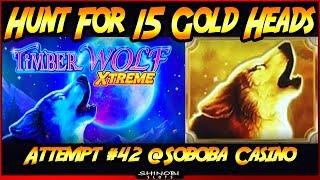 Hunt For 15 Gold Heads!  Episode #42 on TimberWolf Xtreme Slot Machine at Soboba Casino!
