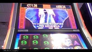 BULL ELEPHANT Slot Machine Bonus By WMS